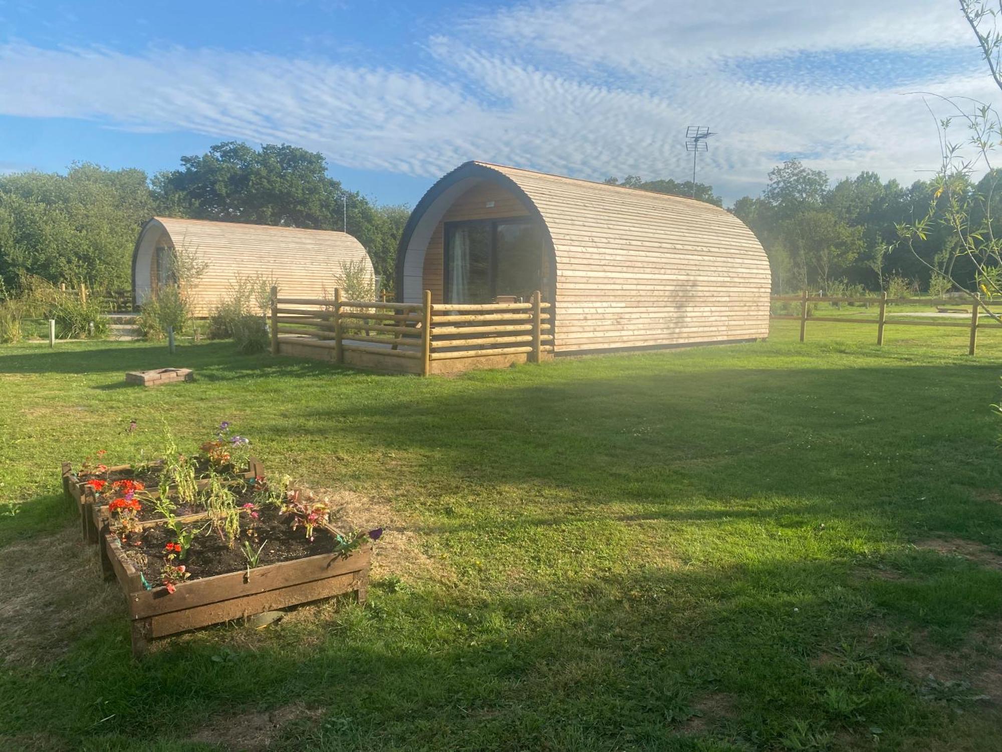 Beech Pod Cabin In Beautiful Surroundings Wrexham Extérieur photo